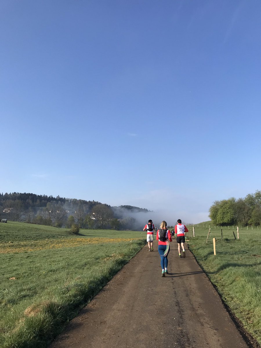 Laetitia tweet media