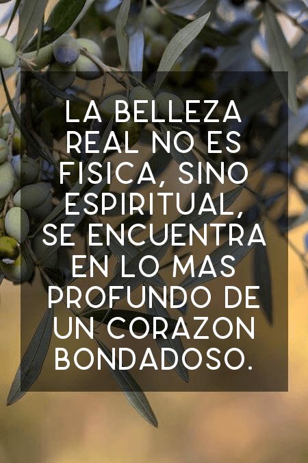 Orecul8's tweet photo. Saludos https://t.co/I9KQ8PQ2OH