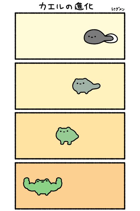 カエルの進化🐸 