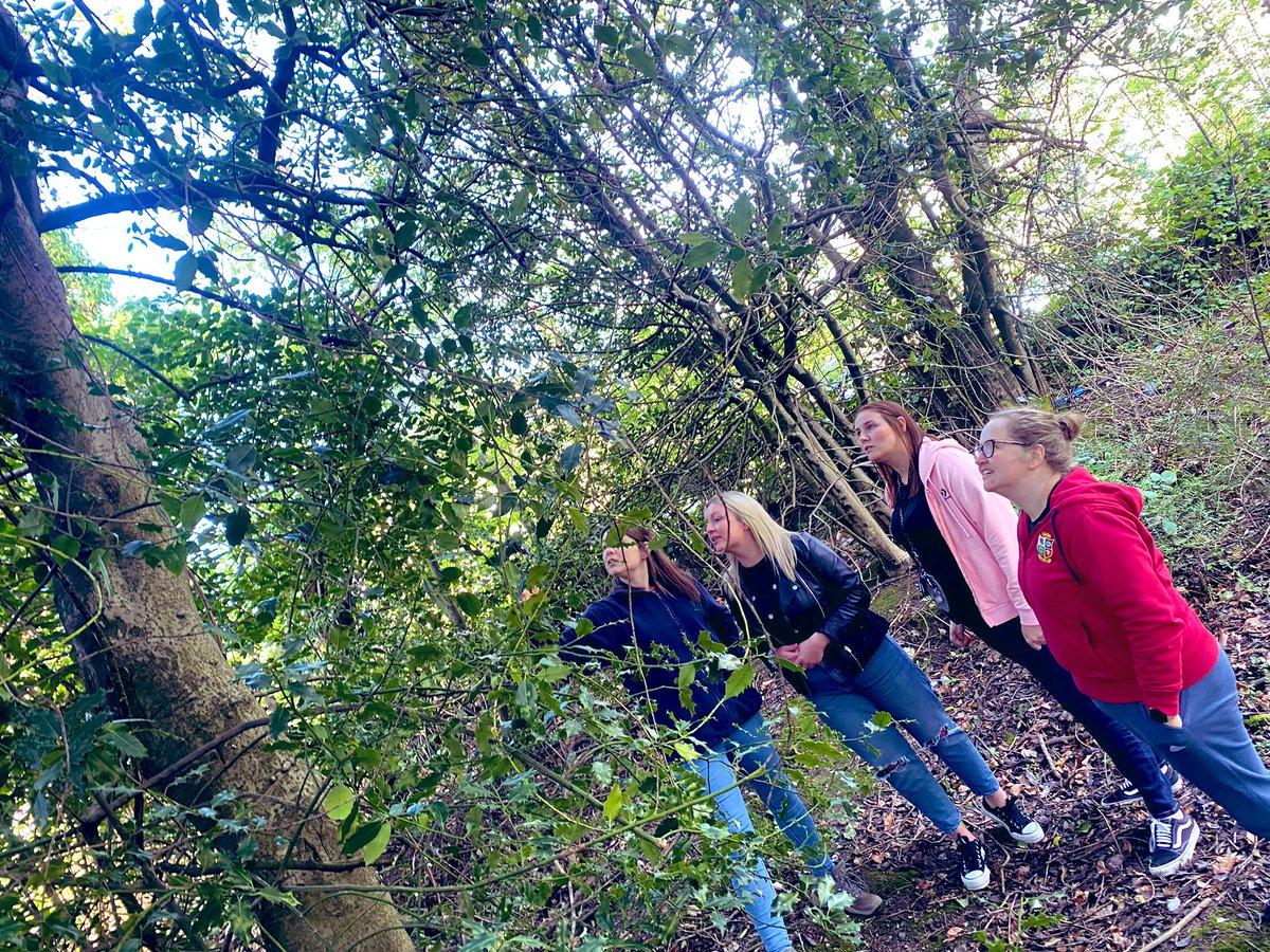 linseyallan8's tweet photo. Fantastic in-service day on Friday with @WellgreenNurse1 &amp; @HillviewNursery.  Forest kindergarten training in the woods, led by one of our passionate educators and safe sleep training.
The teams reflected together and planned for improvement. #selfevaluationforselfimprovement https://t.co/IKlSsrp2un