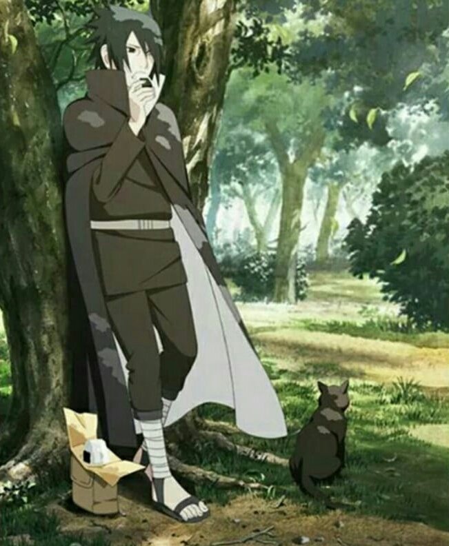 DoodleSasuNaru's tweet photo. The cat was waiting for Naruto, I just know https://t.co/KFYgntpMXQ