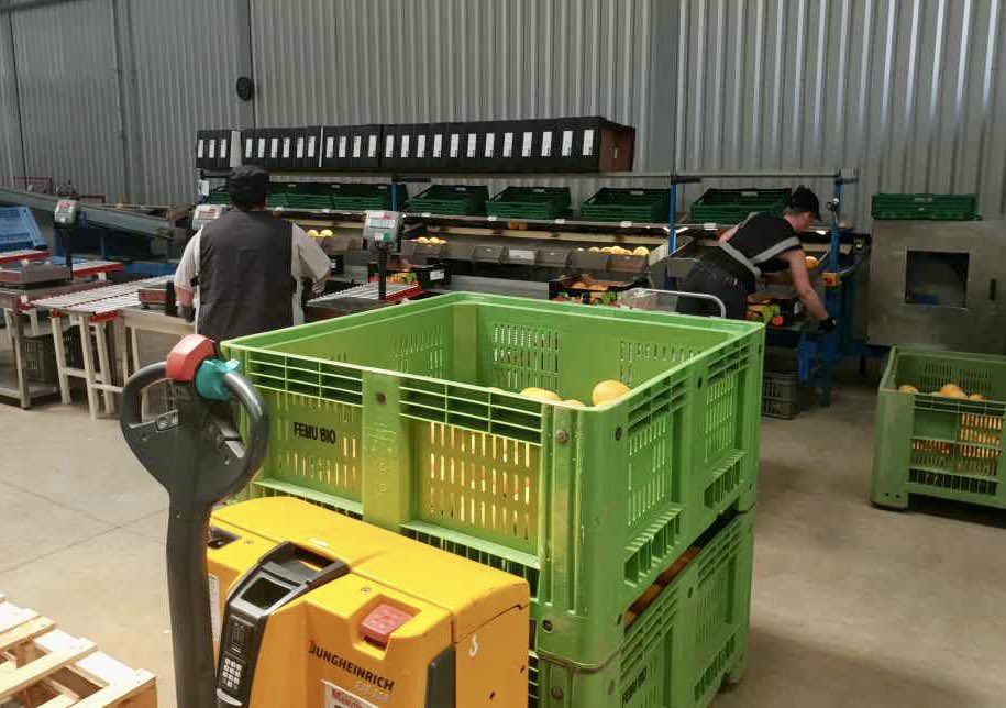 Préfet Haute-Corse (@prefet2b) on Twitter photo Francois Ravier <a href="/Prefet2B/">Préfet Haute-Corse</a> a réuni ce matin ce matin les producteurs de clémentines et pomelos : développement et structuration de la filière « agrumes »🍊 une des productions phare de l’agriculture Corse. Francois Ravier <a href="/Prefet2B/">Préfet Haute-Corse</a> a réuni ce matin ce matin les producteurs de clémentines et pomelos : développement et structuration de la filière « agrumes »🍊 une des productions phare de l’agriculture Corse.