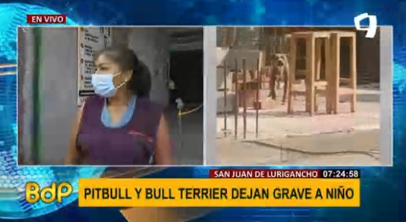 PTV_Noticias's tweet photo. #BDP #EnVivo | PITBULL Y BULL TERRIER ATACAN A #NIÑO. Mujer ayudó al pequeño que era #devorado por los #perros.
Míranos EN VIVO ► https://t.co/gj7lGwGLNU
#PanamericanaTelevisión #NoticiasPanamericana #SJL @piacostar @pacofloresc https://t.co/UmTkihRkrk