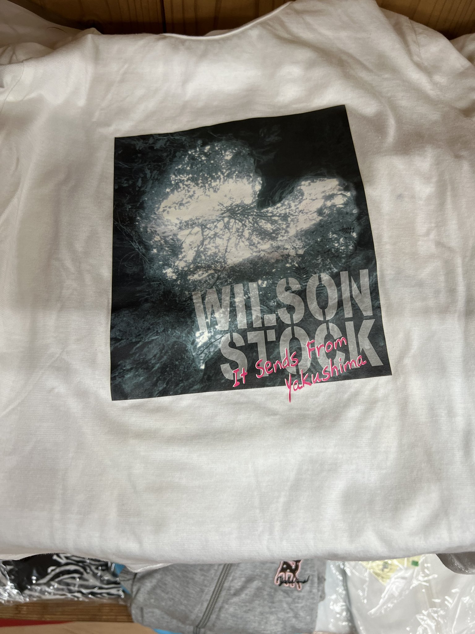 Phish Phashion Went On A 10 Hour 15 Mile 38k Step Hike Over Insanely Rugged Terrain To See Wilson S Stump And The Jomon Sugi The Largest And Oldest Tree In Japan 7k