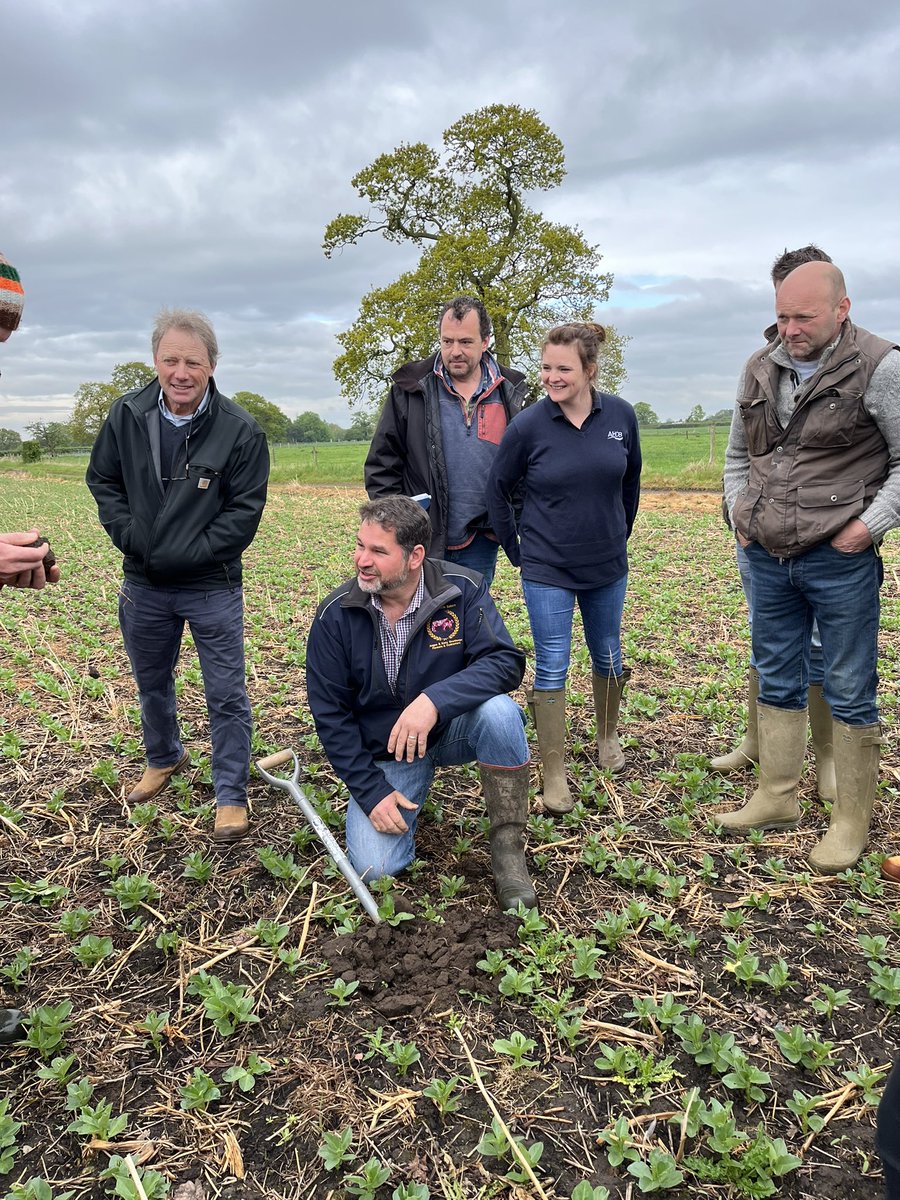 Anna Woodley tweet media