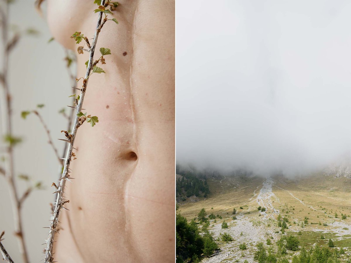 Federico Masini, They Return To Their Earth
<a href="/fede_s_masini/">Federico Masini</a>