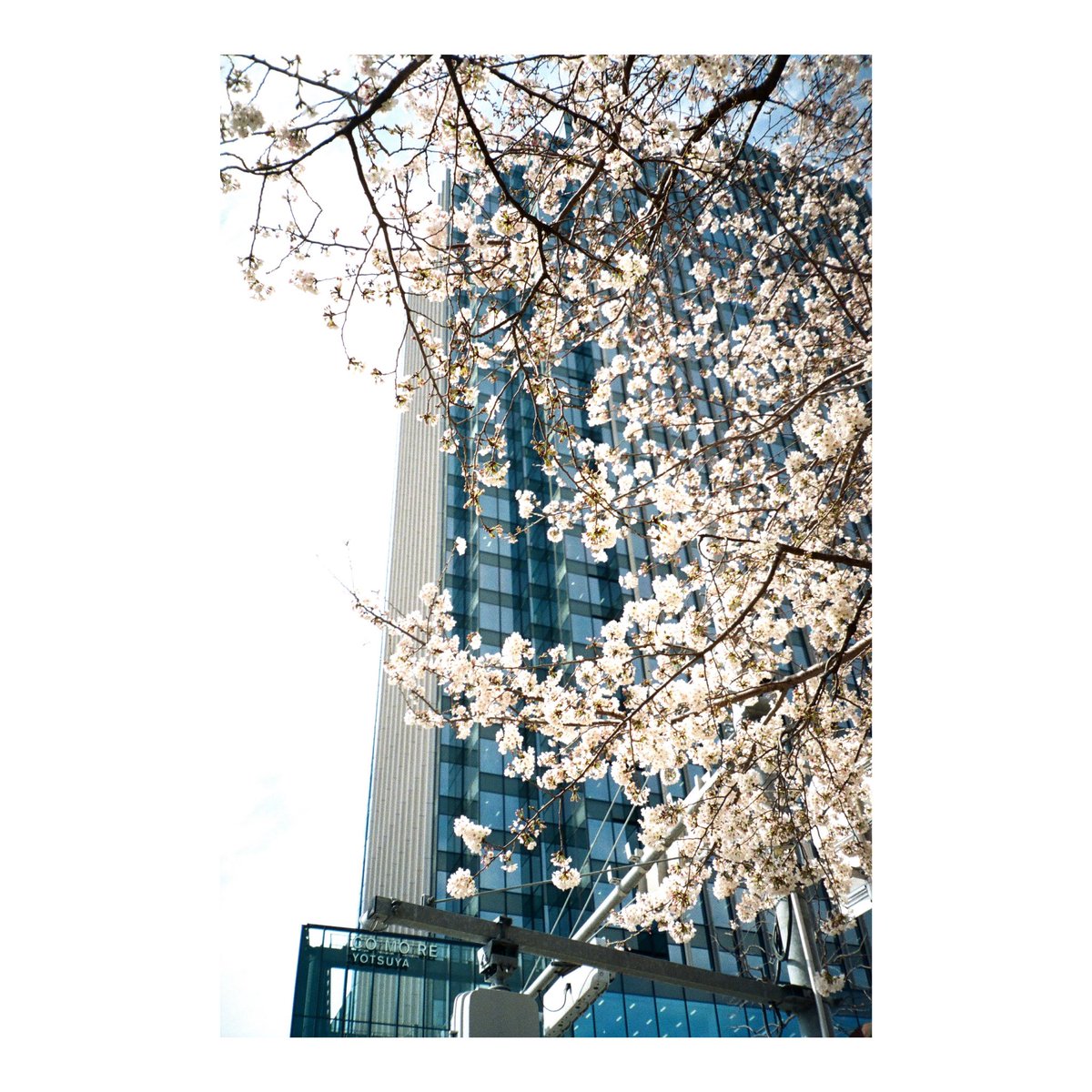 sa_film_'s tweet photo. 何年ぶりかに都会に行った日のこと

#film #filmphotography 
#yousawscenes 
#フィルム写真 #フィルムカメラ
#autoboyn105 https://t.co/Q7EHQTNSag