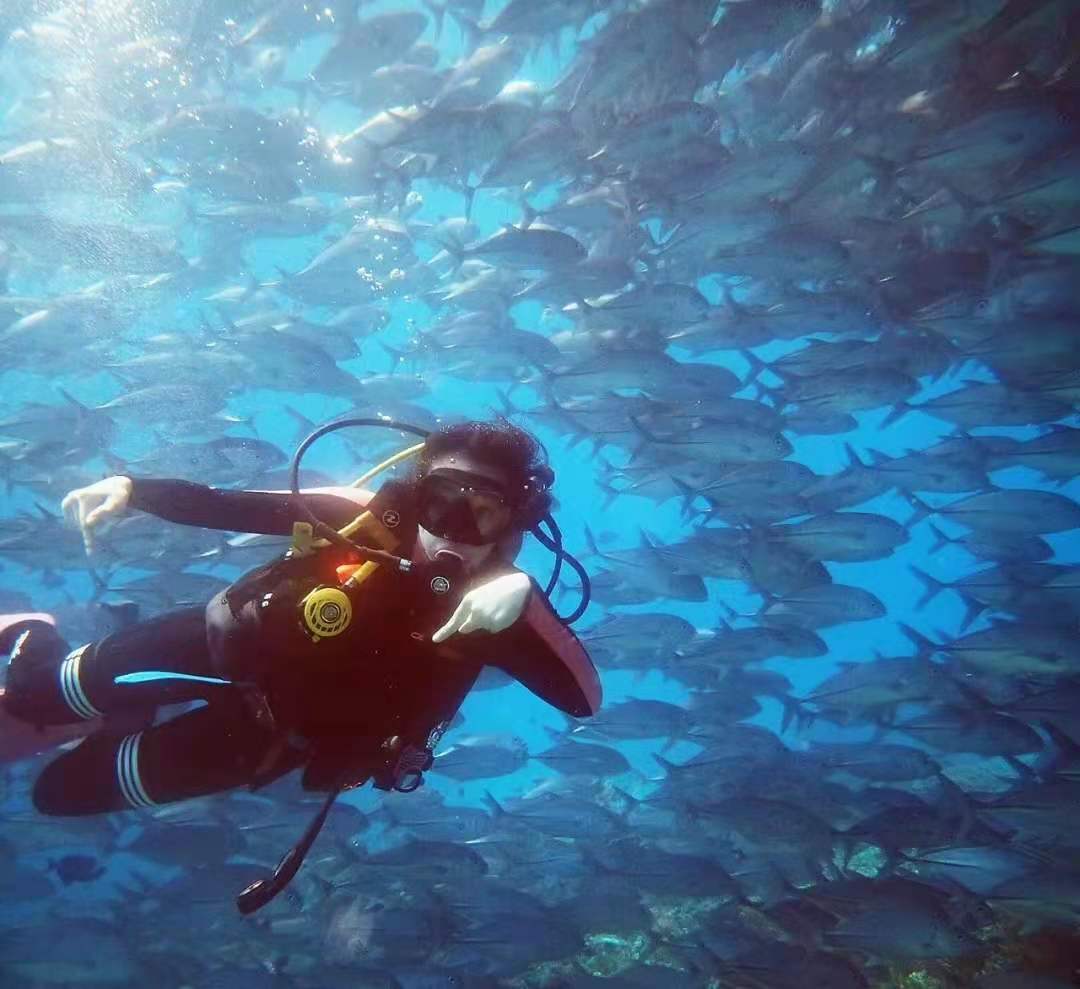 It's very beautiful under the sea