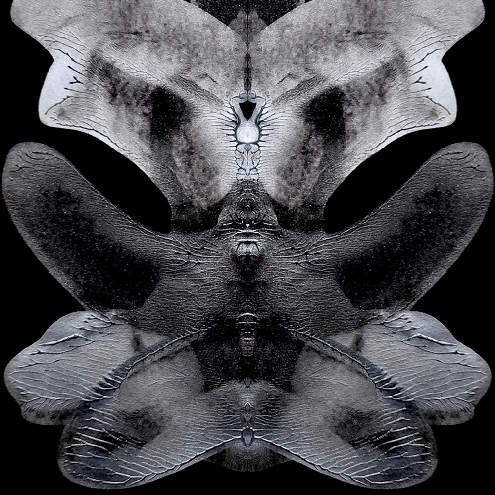 nft0tem's tweet image. 