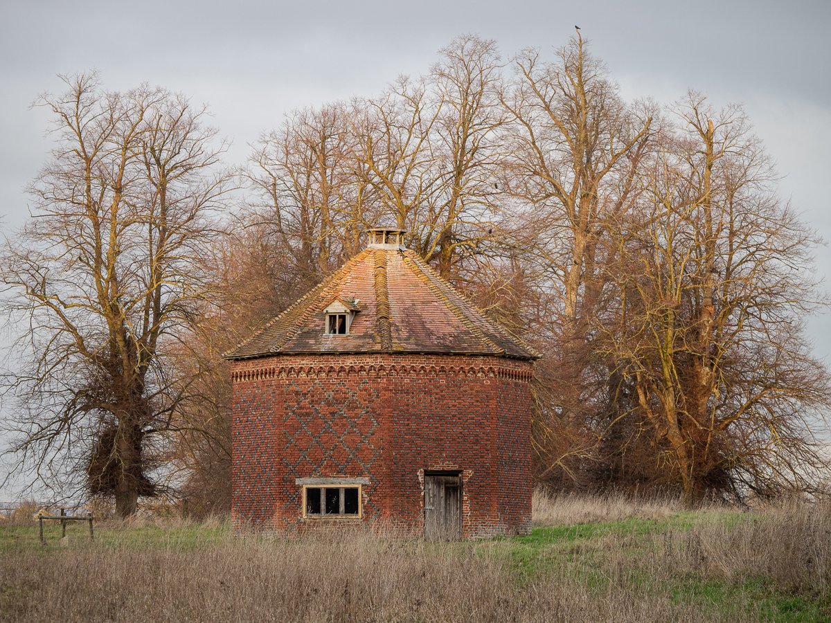 bongboots's tweet image. Ascott Park Dovecote #16thCentury #AscottPark #barebranches #dovecote #landscape #landscapephotographer #listedbuilding #Lumix #M43 #Olympus #Oxfordshire #rural #Stadhampton #travelphotographer #trees #WilliamDormer #winter
