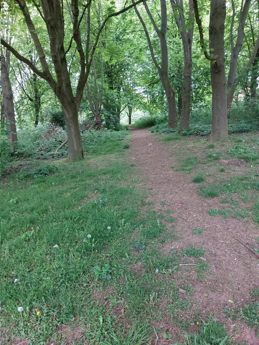 CllrHibbert's tweet photo. A beautiful forest walk! Well it's actually in Standens Barn and no less beautiful for it. Meanwhile.... https://t.co/IKpXF7ZO6U