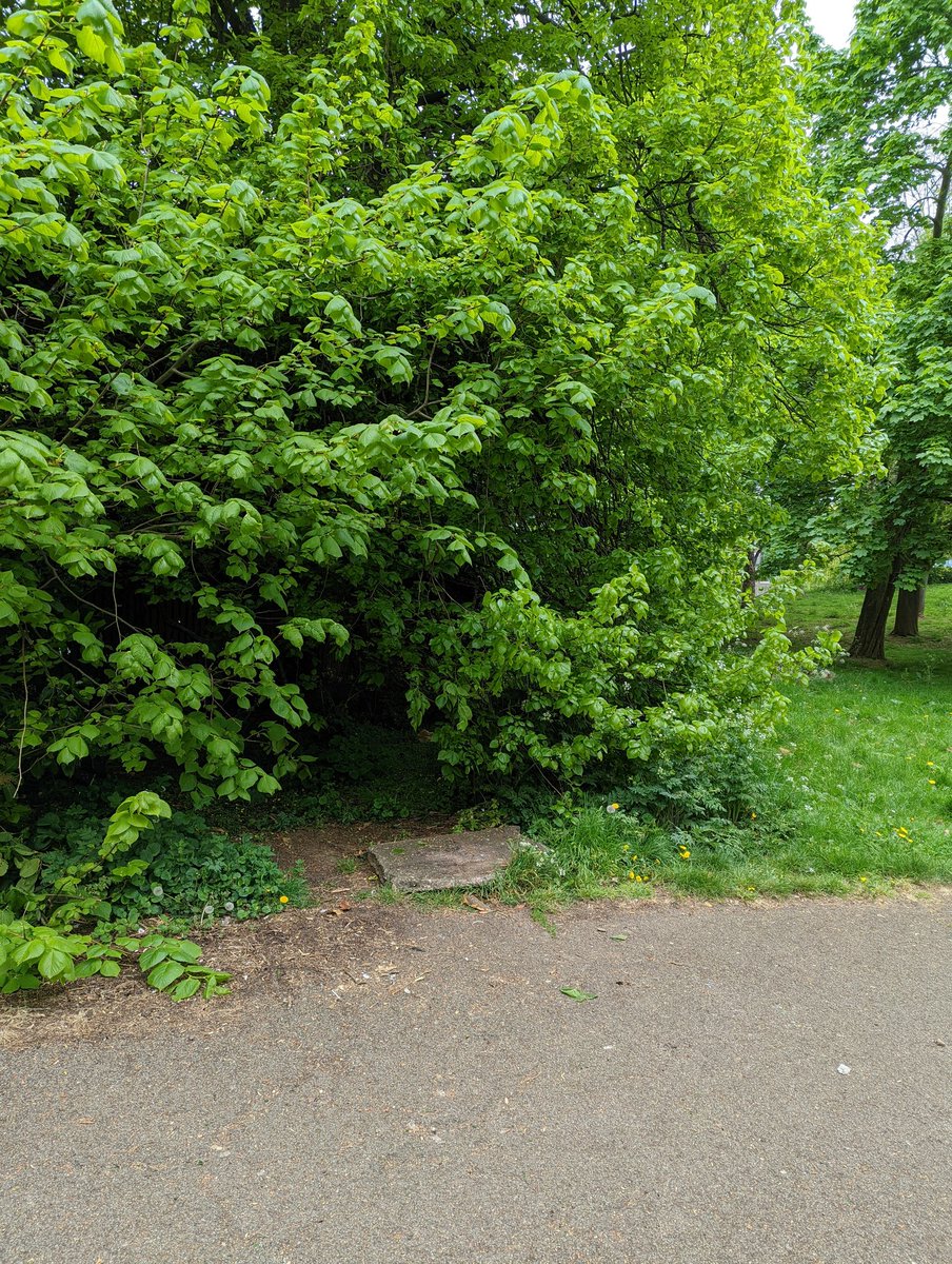 CllrHibbert's tweet photo. Less than 100yds away, a bin removed because that's easier than emptying it regularly! https://t.co/xIsoXAXth3