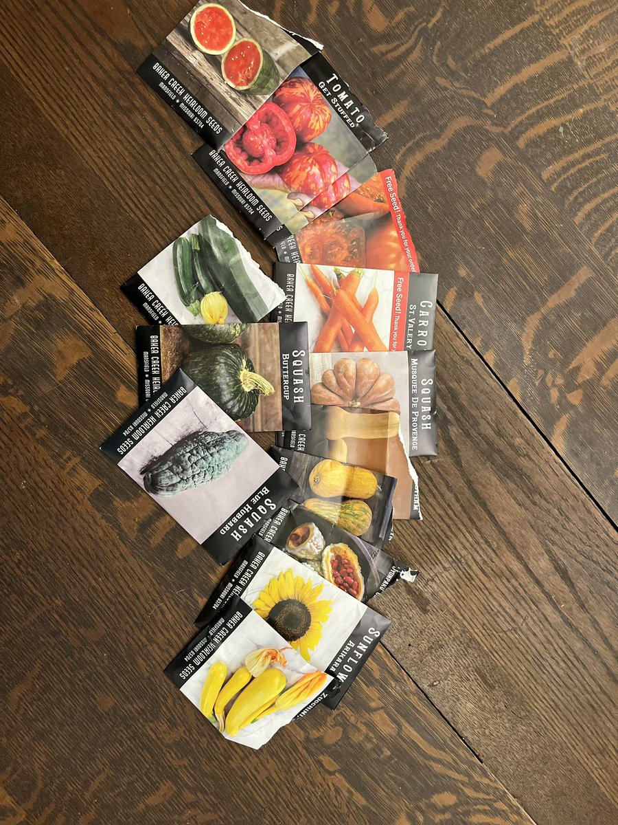 Homevoyaging's tweet photo. Food forest on the way… Year #2 #growfoodnotlawns #foodforthought https://t.co/aN6ZpcSplk