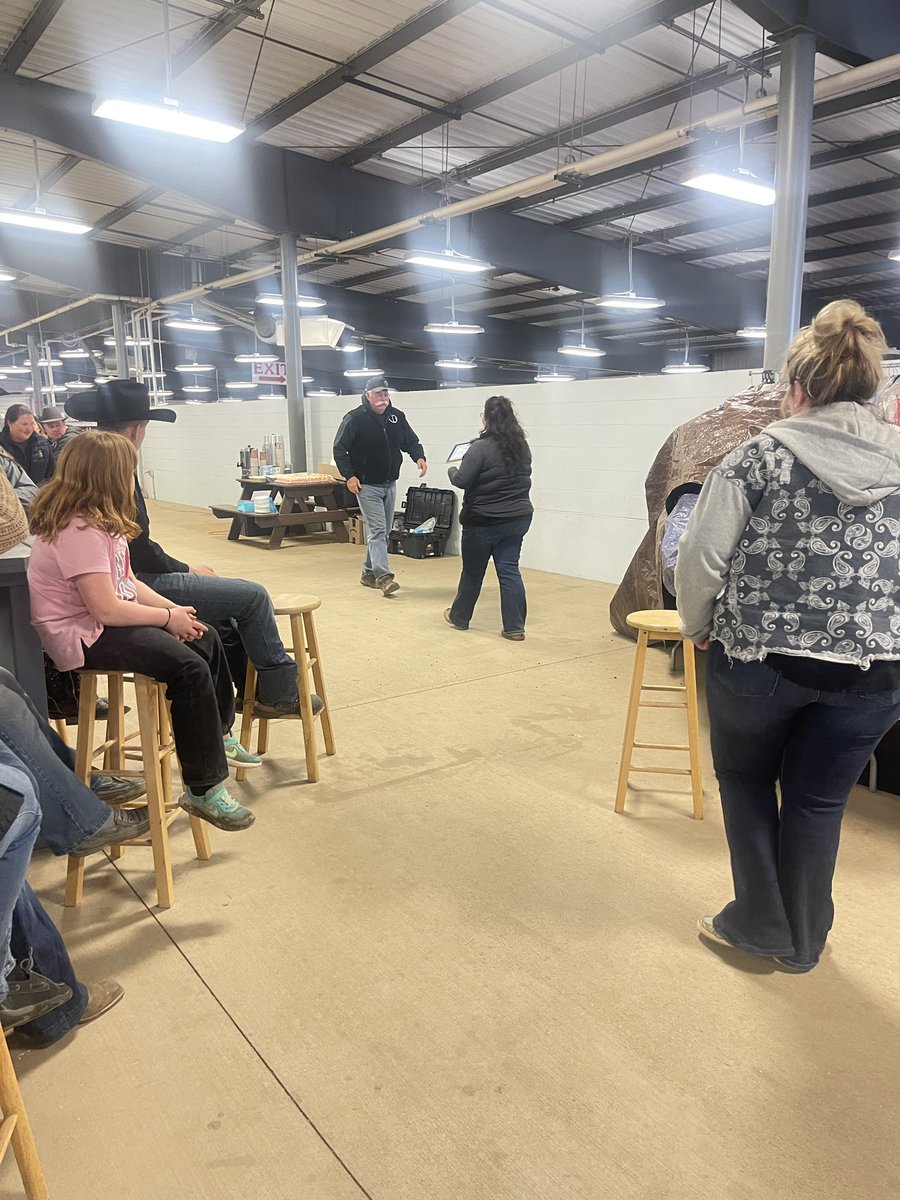 Chelsea Sutton tweet media