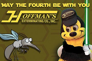 Happy Star Wars Day from Supreme Leader Bugsbee! #MayTheFourthBeWithYou 🌌