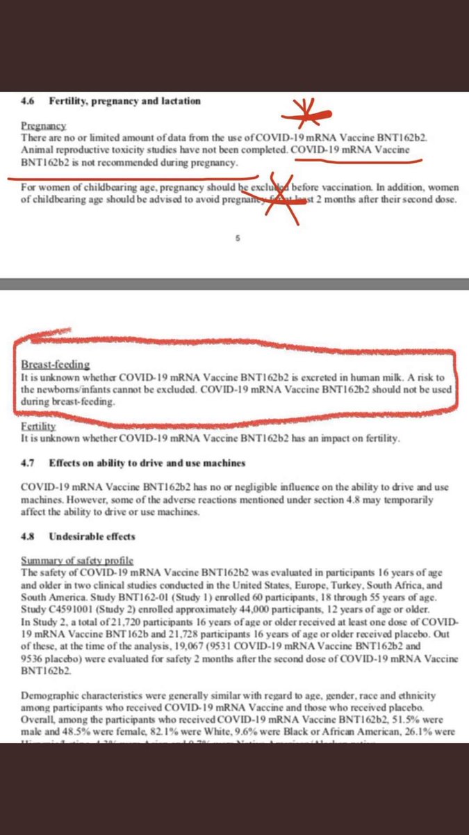 Steven freedom warrior 🌸 🗽 tweet media