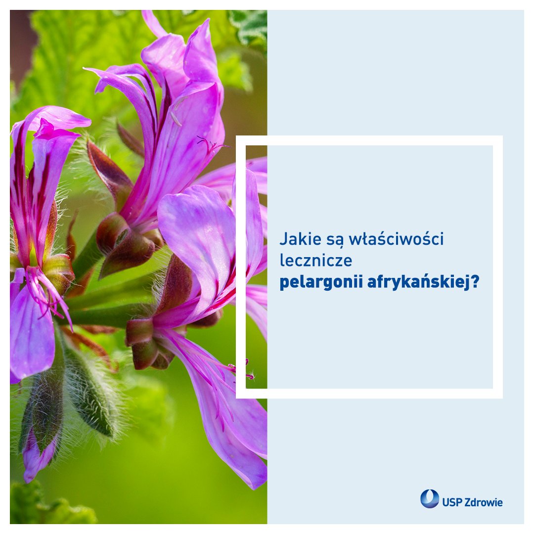 USP Zdrowie tweet media