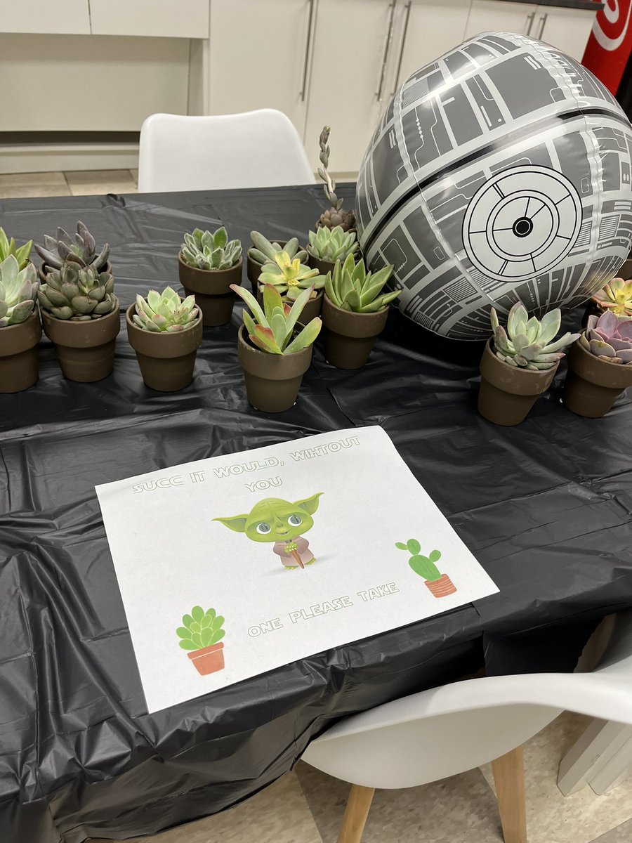 Tourdenance's tweet photo. May the 4th be with you! #babyyoda #grogu #TeacherAppreciationWeek #succulents https://t.co/3EZKlF412v