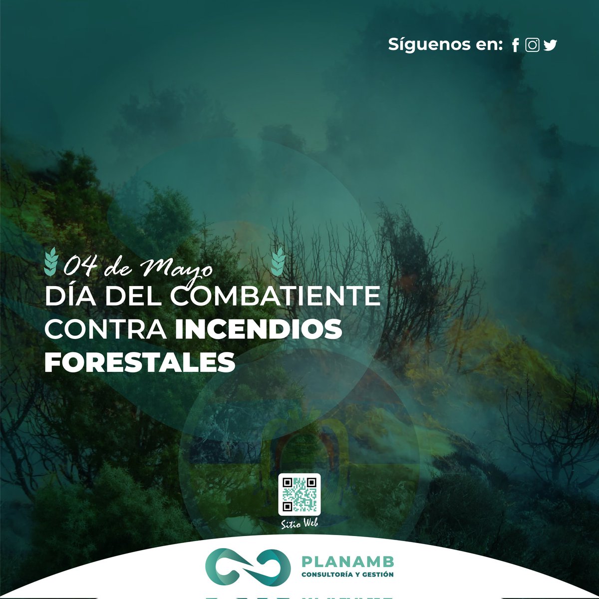 Planambc's tweet photo. Hoy en el #DíaCombatienteForestal🌳 queremos agradecer el esfuerzo y compromiso de todos quiénes día a día luchan contra los incendios forestales.👩🏽🚒🧑🏼🚒
#Planamb https://t.co/VePE7jkT5t