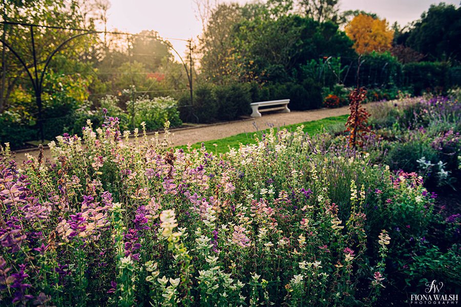 Everybody take a sigh with me and say "ahhh, the light..". 

p.s., if you're at #RHSMalvern this week, I'd love to meet you!
----

fionawalshlandscapes.com #gardenphotographer

@gdnmediaguild #gardenersworld  #gardendesign #gardenphotography
#nationalgardeningweek