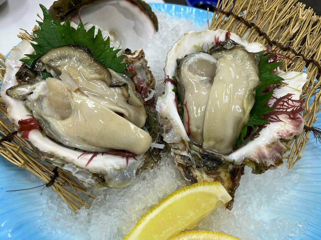 chfrbe's tweet photo. 伊根産岩牡蠣「夏珠」
Les huîtres de roche d’Ine « Natsumi » https://t.co/uUW287hoRP https://t.co/Dqz3h936tx