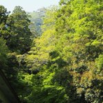 【筑波山江戸屋】のツイート画像