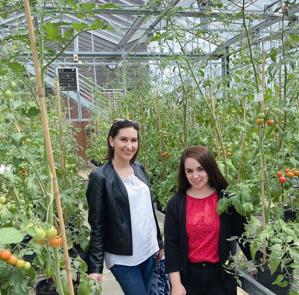 Thank you @MC_Alamar for hosting me today at @CranfieldUni to discuss future collaborations in post-harvest science 🍅🍓🥔 we have met through the @HortQFLNet that funds our research ☺️ @PlantSci_UoB