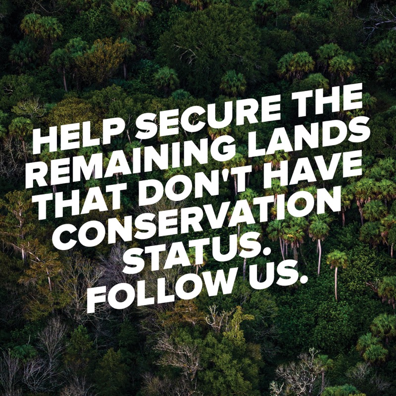 livewildlyfl's tweet photo. Stretching from the Panhandle to the Everglades, the Corridor is a connected collection of lands that is the core of what makes Florida, Florida. Follow us.