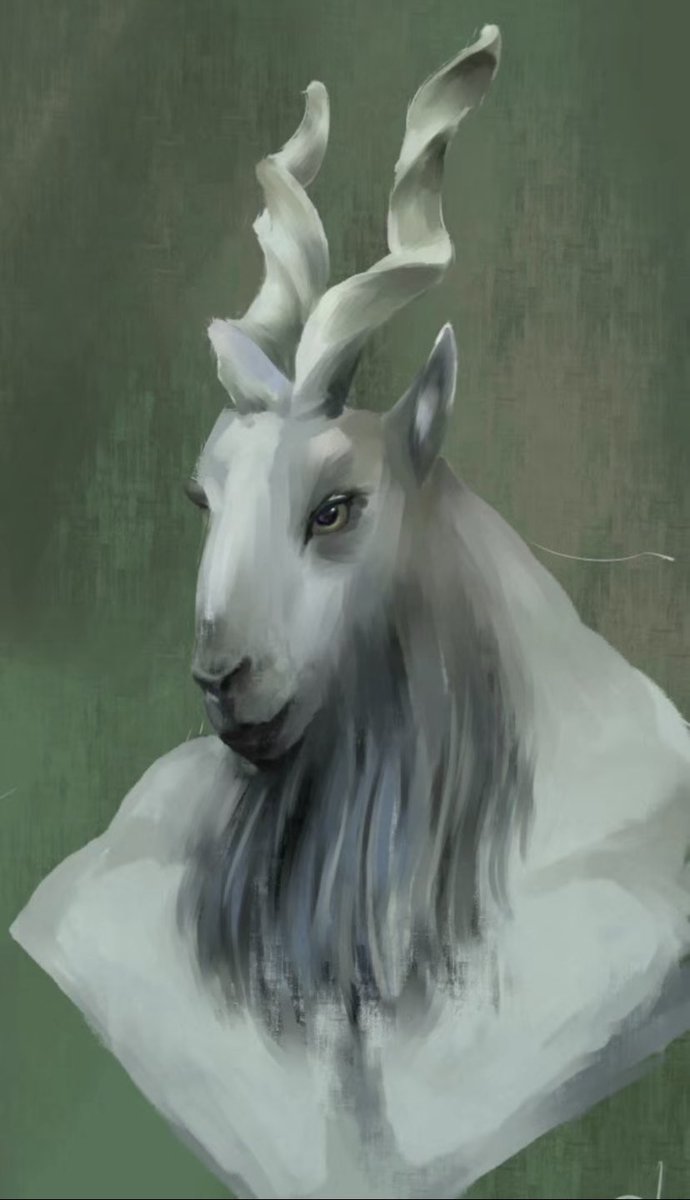 I love goat  a lot！GG！