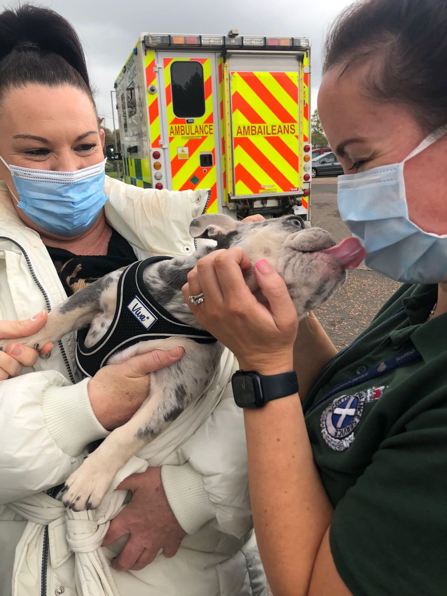 wishydocs's tweet photo. Day 2 of #WellnessWeak with #TeamWishawED - #therapets #theradogs - lovely Belle, #massage by Sophie, more #goodybags #SneakPeak thx to @TescoWishaw @theRCN @RCNScot @RCNSLanarkshire @BMAScotland @TraceyMurtagh and @LANDEDPeer https://t.co/9Tve64jOms