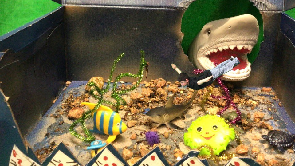 Erin Marshall tweet media