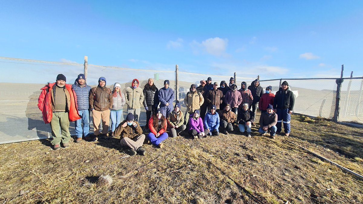 Con gran éxito y asistencia de agricultores, estudiantes agronomia, ganadaeros y empresas de servicio realizamos el taller "construcción cortina cortaviento" en Estancia Julia, programa Fondema #agroecología #agriculturafamiliar <a href="/Inia_Kampenaike/">@IniaKampenaike</a> @OficialGore <a href="/MinagriMagallan/">MinagriMagallan</a>
