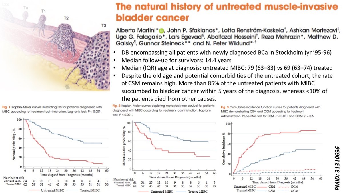 Working on a #BCa ppt and thought of sharing this (crowded) slide on the Nat History of MIBC from our @BJUIjournal paper which is an #Evergreen study - also one of the best posters at @Uroweb 19 #bladdercancerawarenessmonth #BladderCancerMonth22 @WorldBladderCan @BladderCancerUS