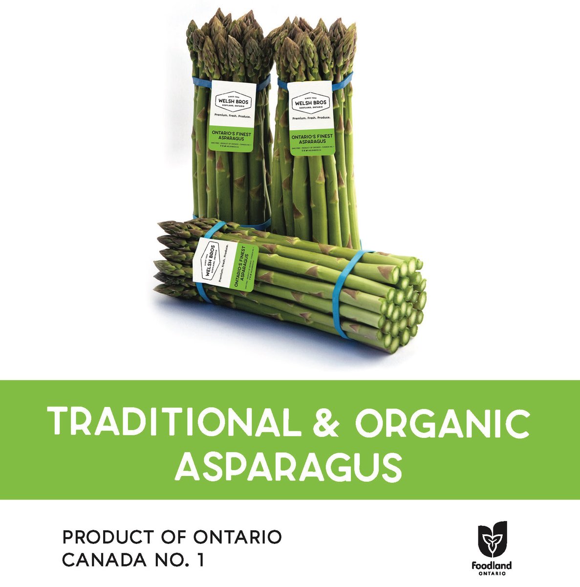 We're getting so close! All going well (meaning - as long as we don't have a polar vortex or the like) - we'll have some asparagus locally for Mother's Day with full availability next week. The tag is your guarantee that you're getting Welsh Bros Local Asparagus.