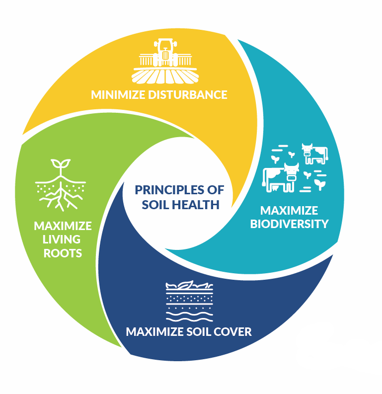 May the FOUR principles of #soilhealth be with you! Today, and every day. 🌱🌟 bit.ly/3Bn20bW #MayTheFourthBeWithYou