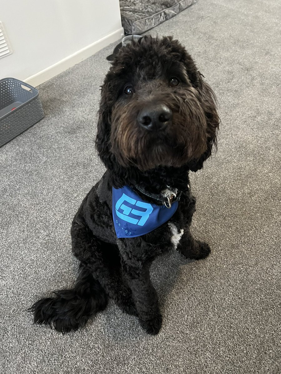 GS65Doggo's tweet photo. Officially back! #GR63 #GS65 #F1 @MercedesAMGF1 @OfficialGR63 @GeorgeRussell63 https://t.co/WxZnHDPQoC