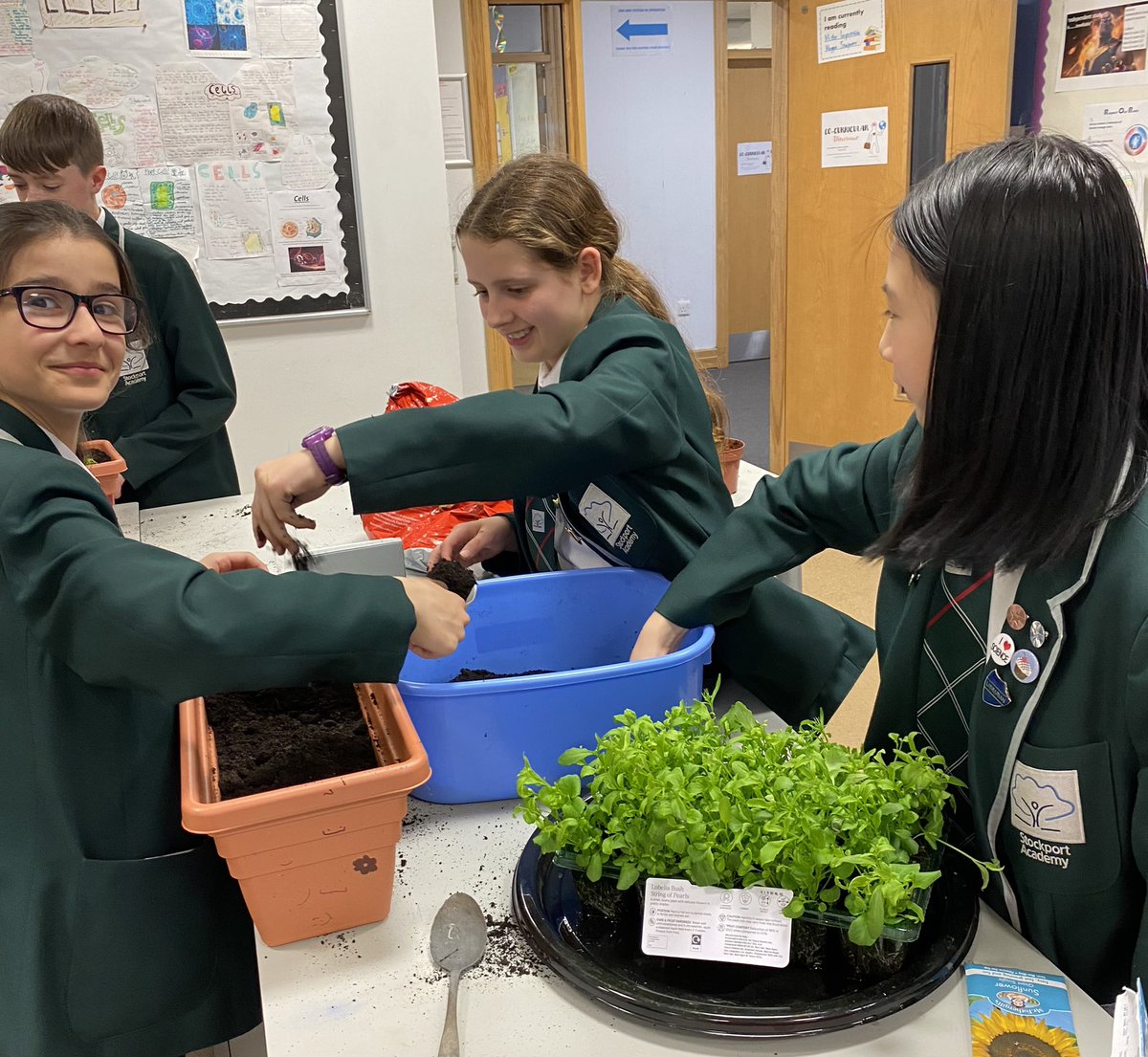 sciencecrewSA's tweet photo. Since it’s #NationalGardeningWeek we turned our hands to a spot of horticulture at Science Club today. Can’t wait to see the planters in full bloom 🌸🌺🌼 https://t.co/nayh1b1q0Y