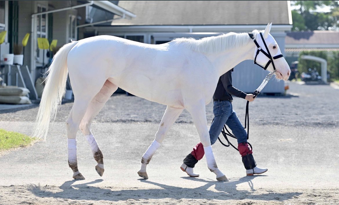 Y está campeona Japonesa la extraordinaria Sodachi que te parece <a href="/EvonySolorzano/">𝑵𝑨𝑻𝑯𝑨𝑳𝑰 𝑺𝑶𝑳𝑶𝑹𝒁𝑨𝑵𝑶</a>