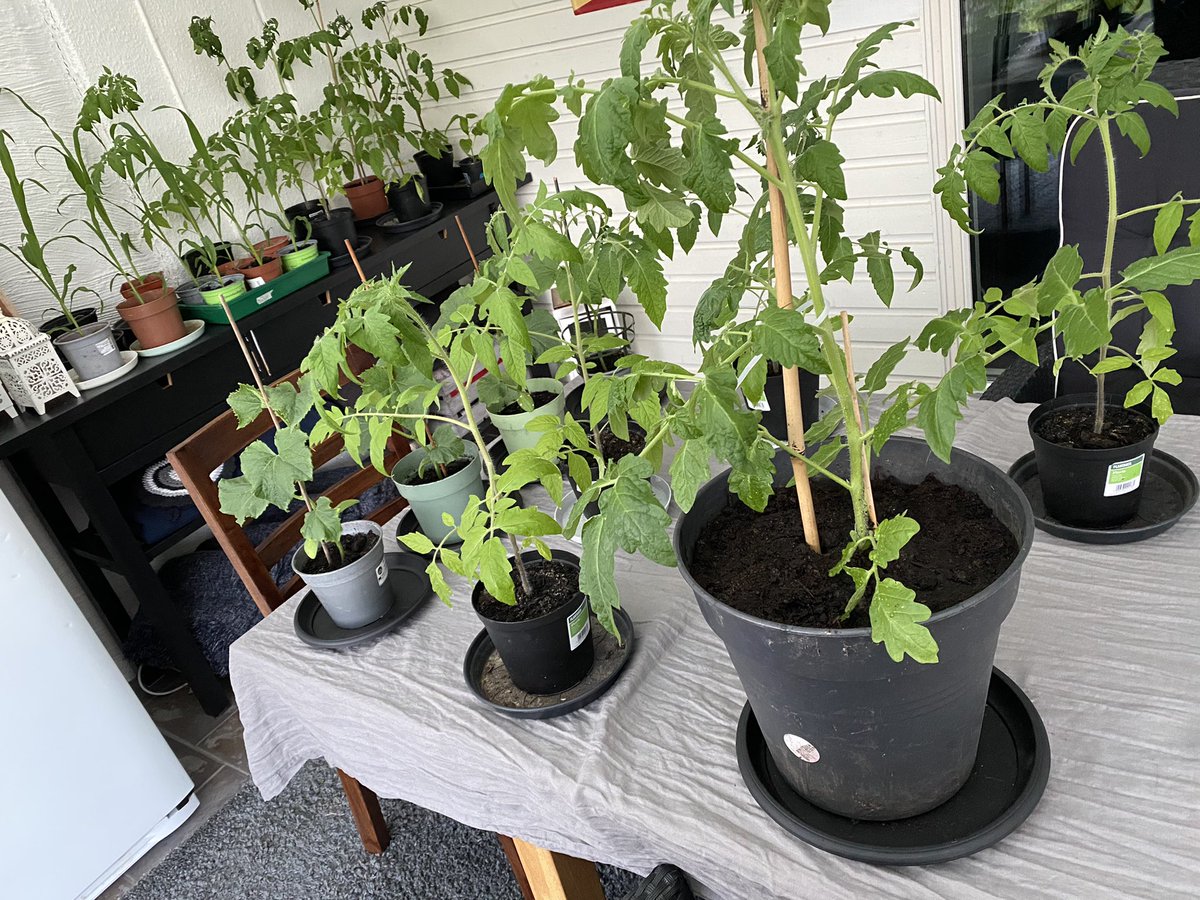 Lite omskolning som kvällsavkoppling.