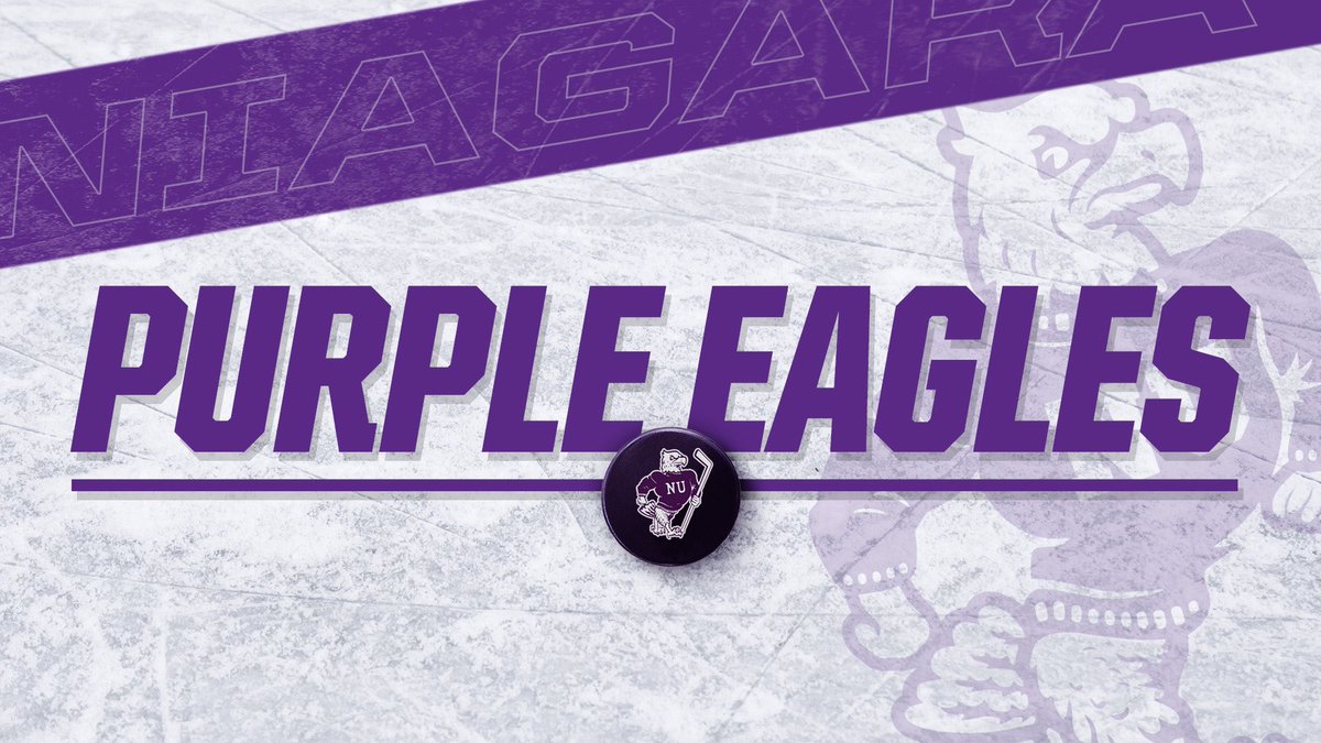 Excited and honored to announce my commitment to play Division 1 hockey and further my education at Niagara University. Thank you to all my friends, family, and coaches that helped me along the way. #🟣🦅