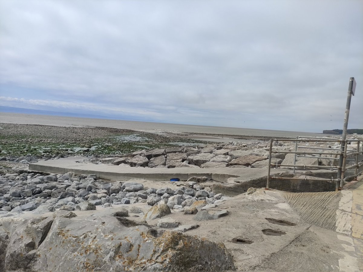 rhimoggle's tweet photo. Makes perfect sense to me why I couldn't take my dog onto a completely deserted beach at midday today! 🙄 https://t.co/mMoBvQH9BK