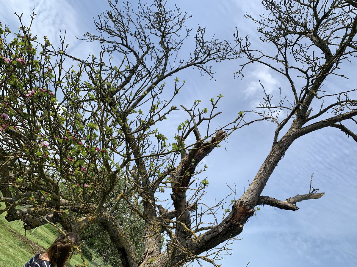 Helen Allsebrook tweet media