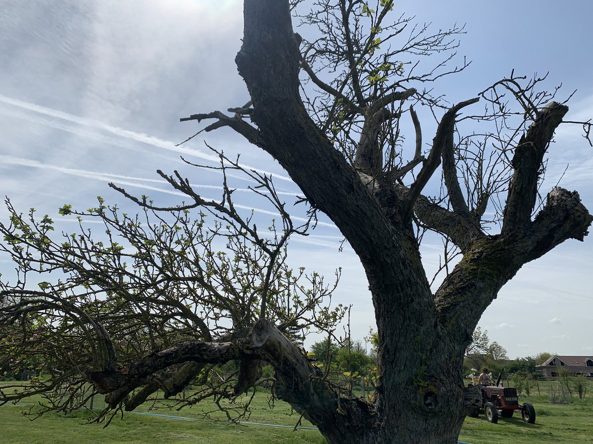 Helen Allsebrook tweet media