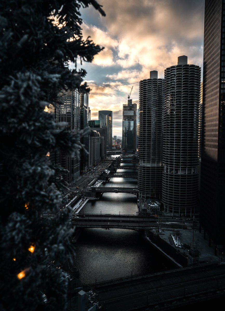 moumarion's tweet image. Classics 🌇