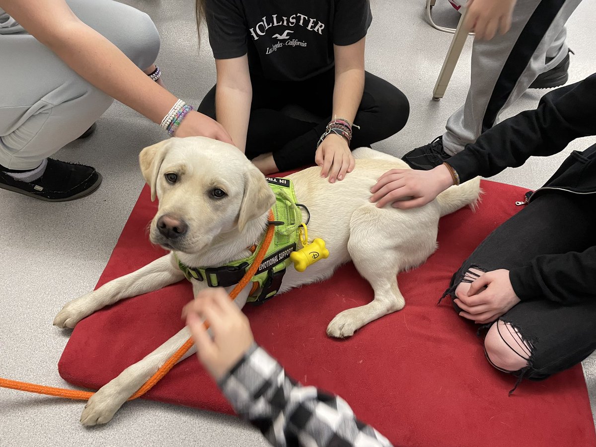 My students loved having Coconut as a special guest in W203 today! 🐾