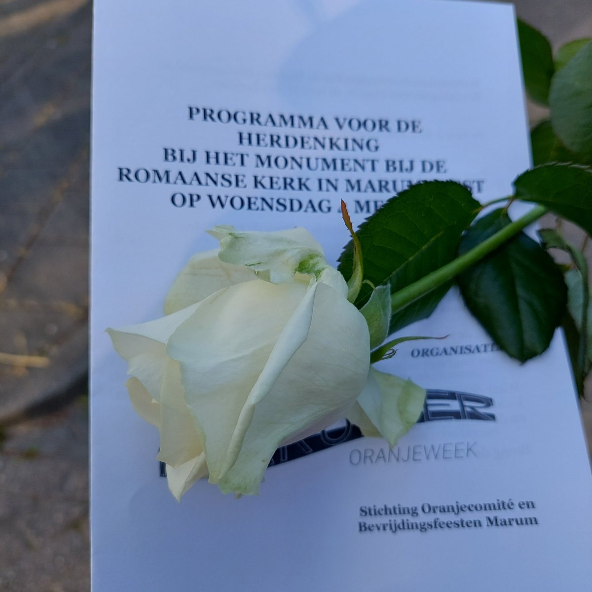 Stille tocht. VRIJHEID en VERBONDENHEID