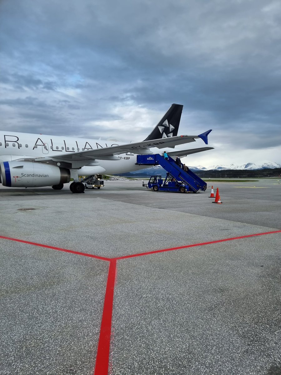 Morten Feirud tweet media