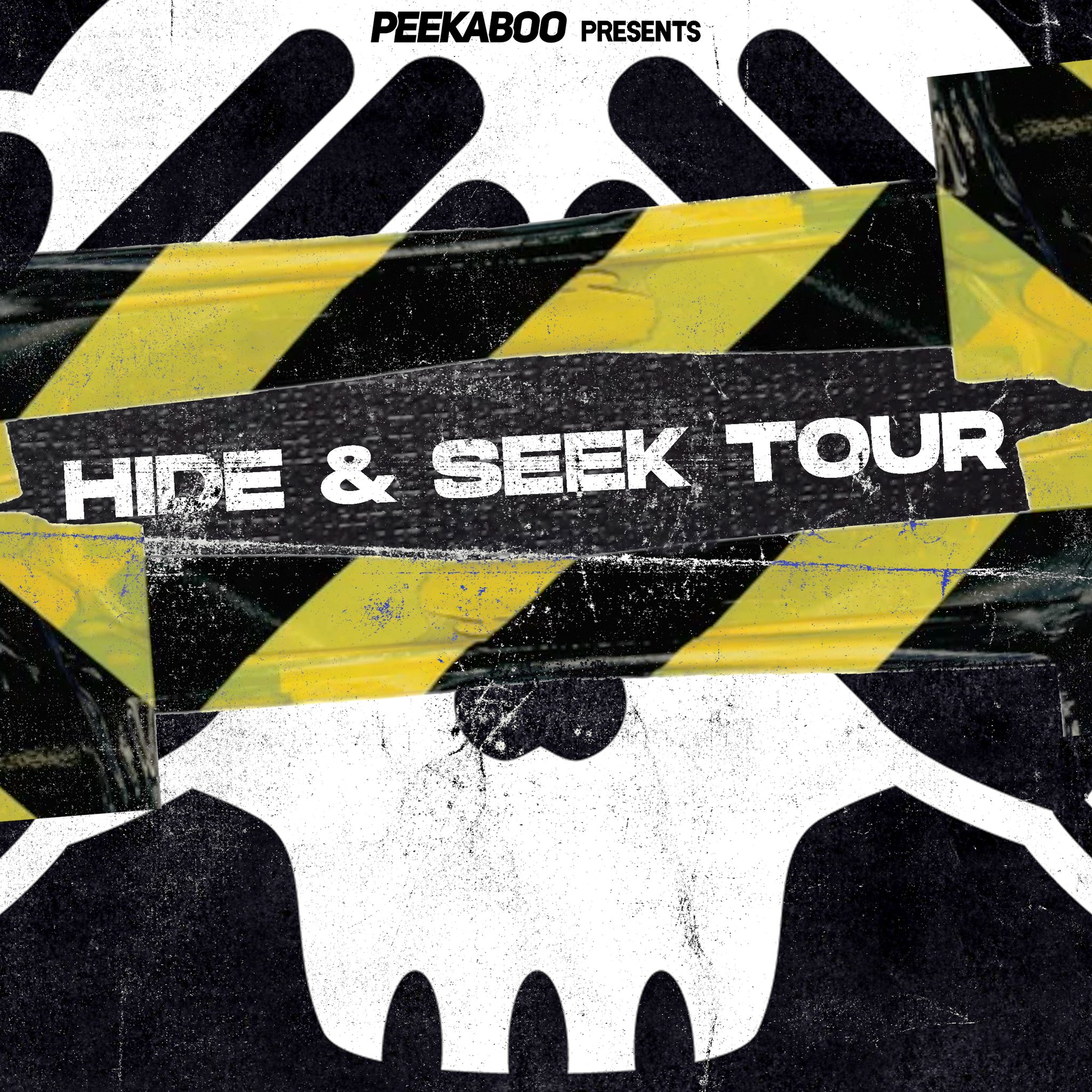 Peekaboo: Hide and Seek