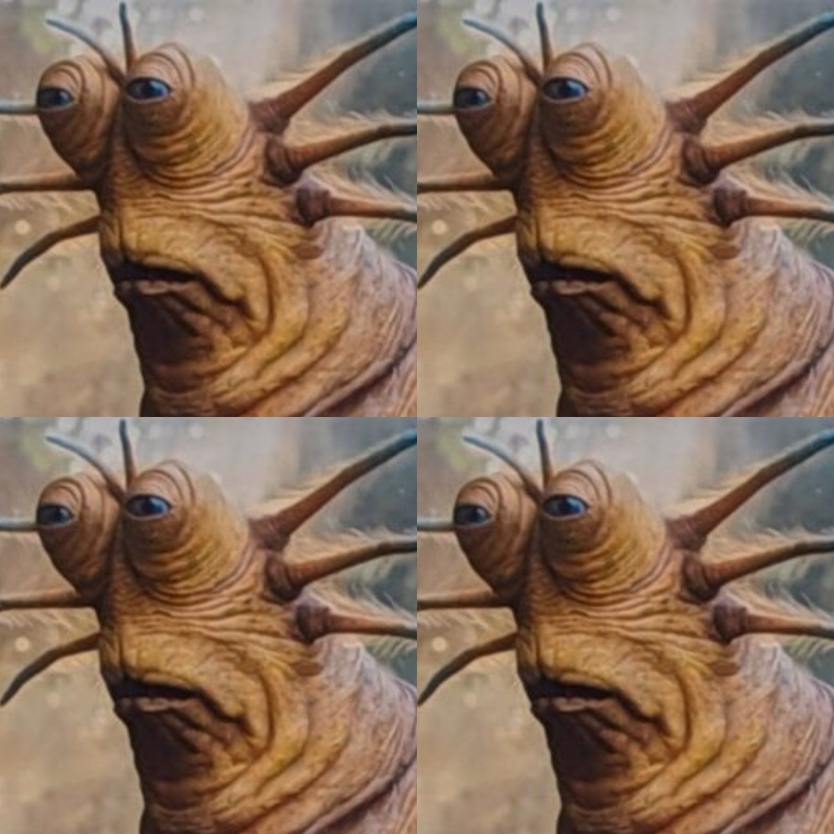 PinkBile's tweet photo. May the Klaud be multiplied by Four.
#MayThe4th
#MayTheFourth
#MayThe4thBeWithYou
#Klaud
#KlaudKlaudKlaudKlaud
#FourSlugsReaction https://t.co/tTLe7MKfiS