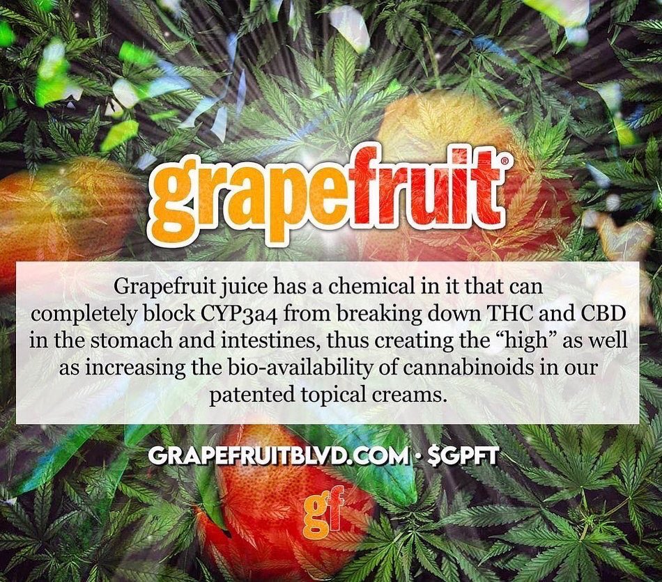grapefruitusa's tweet photo. Visit our website and find out about all the amazing products we have to offer! 

https://t.co/BTBQP3krIS

$GPFT Team

#gpft @grapefruitusa 
#grapefruit #gpft #explore #explorepage #stock #stocks #pennystocks #growth #mmj #stocktrading #stockmarket #stockmarketnews https://t.co/mv4HKQ98pr